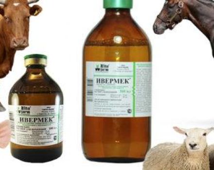 Mode d'emploi d'Ivermek pour les animaux et posologie pour les bovins, analogues