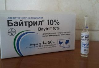 Gebrauchsanweisung und Zusammensetzung von Baytril für Entenküken, Dosierung und Analoga