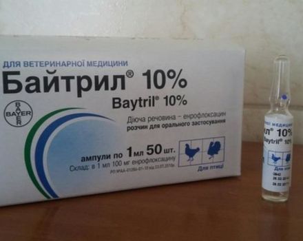 Mode d'emploi et composition de Baytril pour les canetons, posologie et analogues