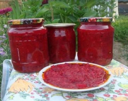 7 meilleures recettes pour faire de l'adjika de betterave pour l'hiver