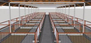 Exigences et conception d'une porcherie pour 50 têtes, étapes de construction de vos propres mains