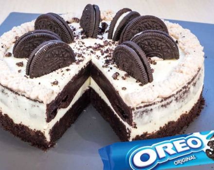 TOP 40 des meilleures recettes pour les desserts du Nouvel An pour 2019 de vos propres mains à la maison