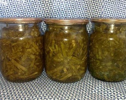 15 besten eingelegten Frühlingszwiebelrezepte für den Winter