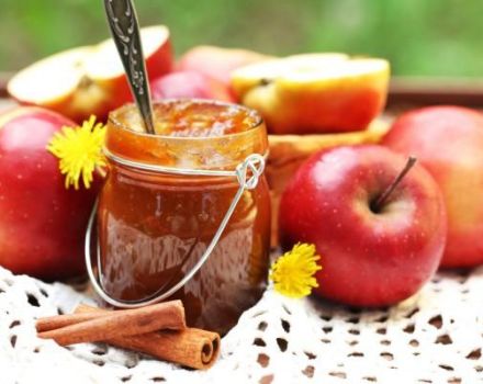 Recette pour faire de la confiture de pommes pour l'hiver sur du fructose pour les diabétiques