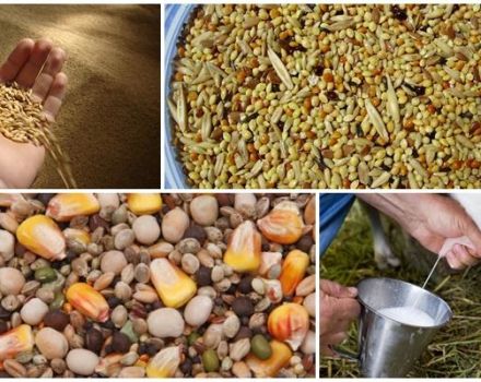 Was Sie brauchen, um eine Ziege zu füttern, um die Milchleistung zu erhöhen, Methoden zu Hause