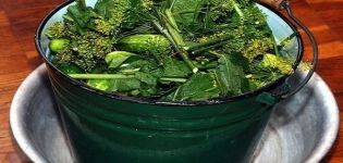 TOP 9 Rezepte für kalt eingelegte Gurken in einem Eimer