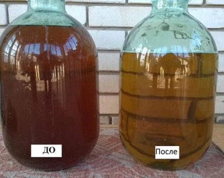 Comment clarifier le vin avec du froid à la maison, instructions étape par étape