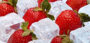 How to properly freeze strawberries at home for the winter