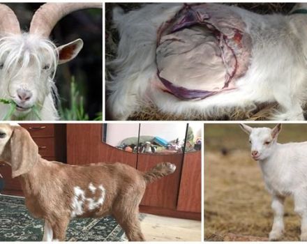 Ursachen und Anzeichen von Verstopfung bei einem Kind und was zu tun ist, vorbeugende Maßnahmen