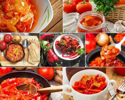 TOP 7 délicieuses recettes pour faire du lecho avec des carottes et des oignons pour l'hiver