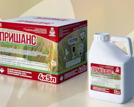 Instructions for the use of the herbicide Prishans, mechanism of action and consumption rates