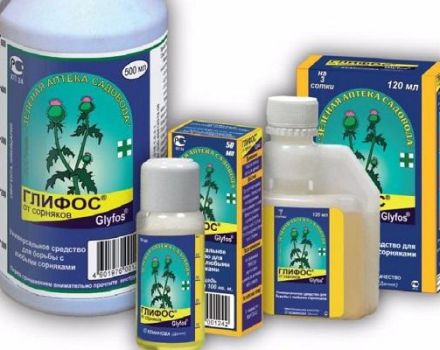 Types of herbicides on raspberries, description and instructions for use against weeds