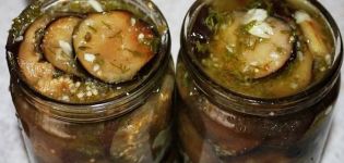 2 meilleures recettes d'aubergines à l'huile pour l'hiver