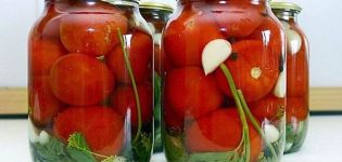 10 recipes for making pickled and hot-sweet tomatoes for the winter