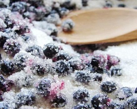 9 best recipes for making blueberries with sugar for the winter without cooking