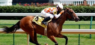 Was ist die maximale Geschwindigkeit, die ein Pferd entwickeln kann und wovon hängt die Leistung ab?