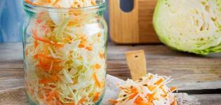 8 besten Instant-Sauerkraut-Rezepte, die köstlich und saftig sind