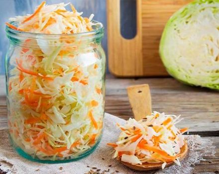 8 besten Instant-Sauerkraut-Rezepte, die köstlich und saftig sind
