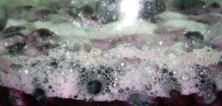 Warum Wein vorzeitig aufgehört hat zu spielen und was zu Hause gemacht werden kann