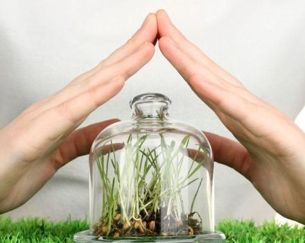 Tableau des recettes de mélanges en cuve pour la protection des végétaux et comment bien faire les choses