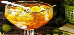 TOP 6 Rezepte für Stachelbeermarmelade mit ganzen Beeren für den Winter