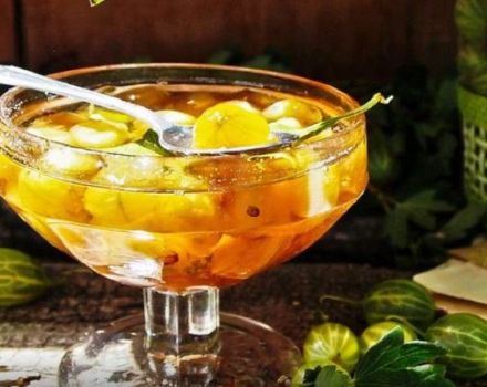 TOP 6 des recettes de confiture de groseille aux baies entières pour l'hiver