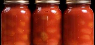 TOP 15 des recettes pour conserver la tomate dans la pâte de tomate pour l'hiver