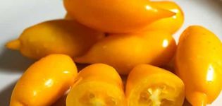 Beschreibung der Tomatensorte Golden Canary und ihrer Eigenschaften