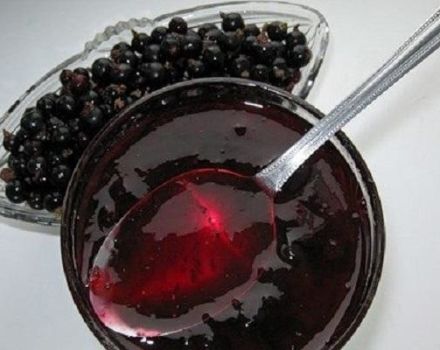 TOP 10 Rezepte für Marmelade mit schwarzen Johannisbeeren für den Winter