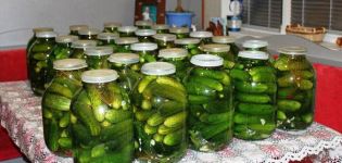3 besten Rezepte zum Kochen von Gurken in Gelatine für den Winter