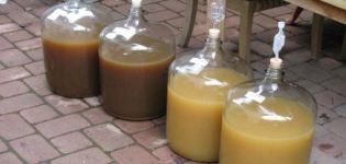 2 meilleures recettes de vin Feijoa maison