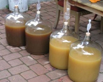 2 besten hausgemachten Feijoa Weinrezepte