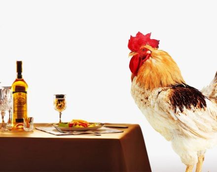 Umso besser, Hühner zu Hause zu füttern, damit sie viel tragen