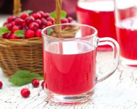 Une recette simple pour faire du jus d'airelles pour l'hiver