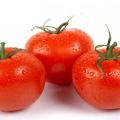Caractéristiques et description de la variété de tomate Le rêve du jardinier, son rendement