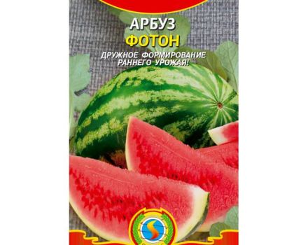 Description de la variété de pastèque Foton, caractéristiques et subtilités de culture, rendement