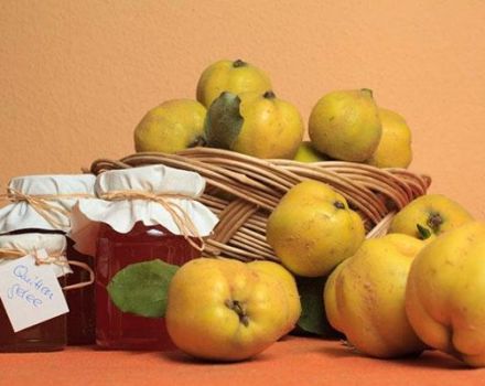 15 köstlichste Rezepte für die Herstellung japanischer Quitten für den Winter