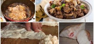 Les avantages et les inconvénients de la graisse d'agneau, ses propriétés médicinales et ce qu'il faut en faire