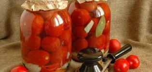 TOP 10 Rezepte für eingelegte Tomaten mit Aspirin für den Winter für ein 1-3 Liter Glas