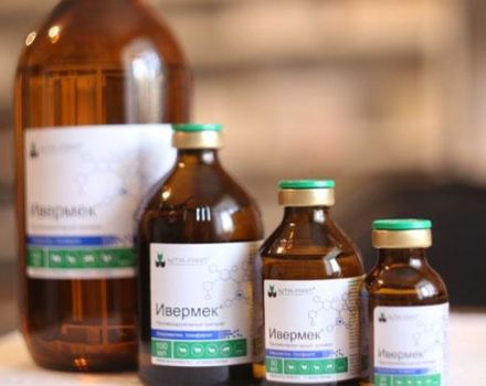 Mode d'emploi d'Ivermek pour porcelets et autres animaux, analogues