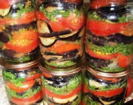 Simple and quick eggplant recipes with herbs and garlic for the winter