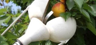 Verschiedene Geräte zum Pflücken von Äpfeln und wie man es selbst macht