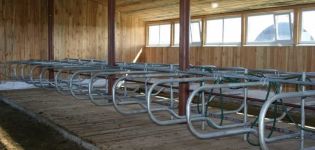 Erstellen Sie ein Projekt und einen Plan für einen Kuhstall für 20 Köpfe, wie Sie ihn selbst bauen können