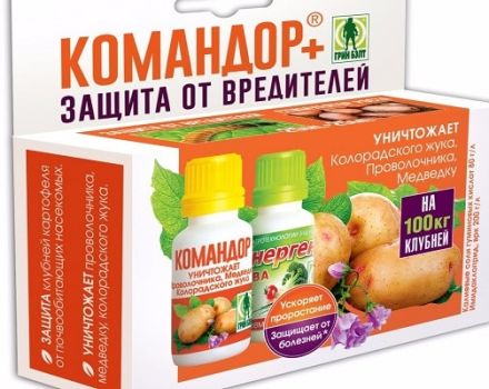 Instructions for use of the Commander from the Colorado potato beetle and harm to humans