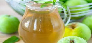 Recette étape par étape pour faire de la compote de pommes sans sucre pour l'hiver