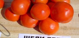 Eigenschaften und Beschreibung der Shedi Lady Tomatensorte, deren Ertrag