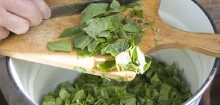 Wie man Sauerampfer für den Winter zu Hause frisch und lecker zubereitet und hält