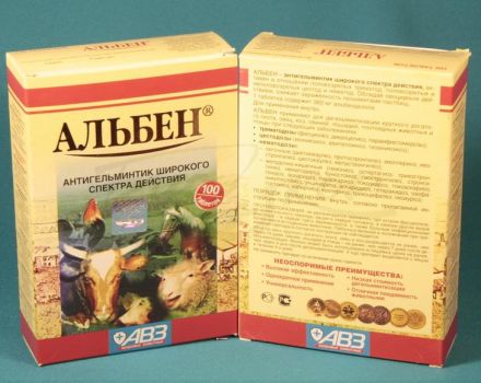 Instructions for use and composition of Albena for piglets, contraindications and analogues