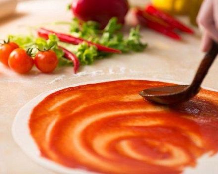 11 besten Schritt-für-Schritt-Rezepte für Tomaten-Pizzasauce