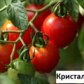 Culture, caractéristiques et description de la variété de tomate Crystal F1